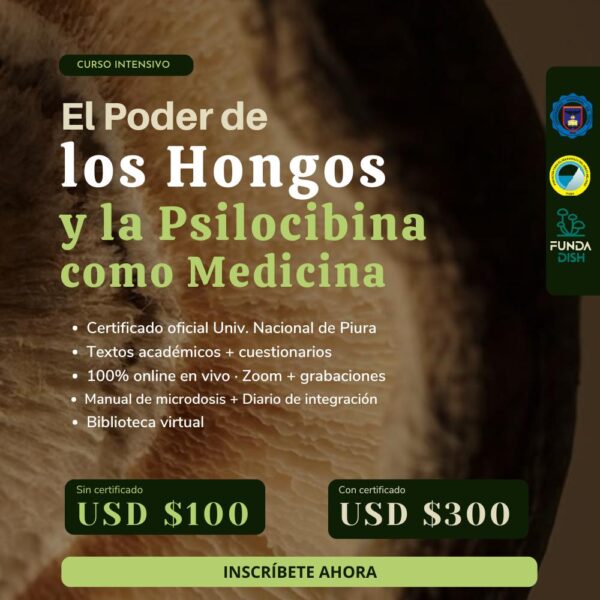 Curso Intensivo: Hongos Medicinales y Psilocibina