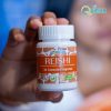 Reishi (Ganoderma lucidum)