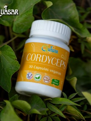 Cordyceps (Cordyceps sinensis)